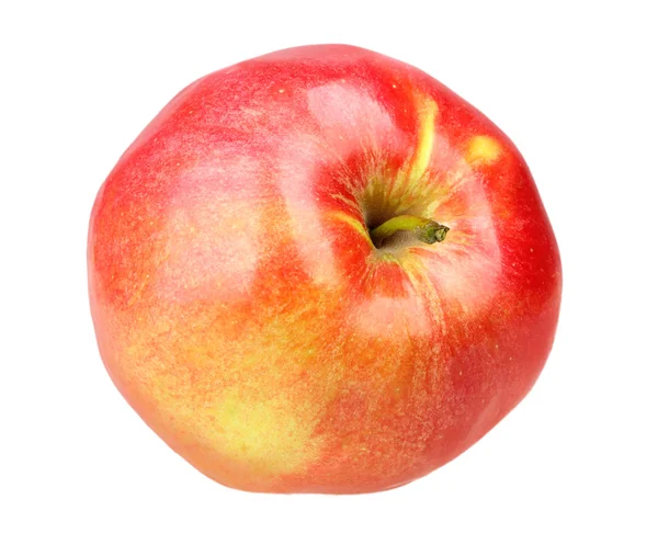 Single a fresh red-yellow apple — Stock Photo, Image