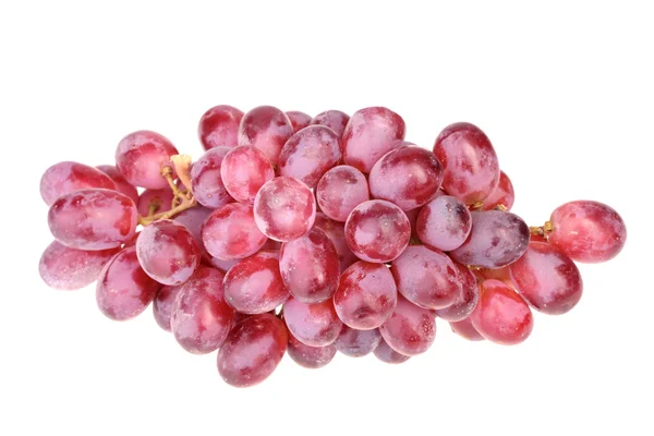 Branch of fresh purple grape — Stock Photo, Image