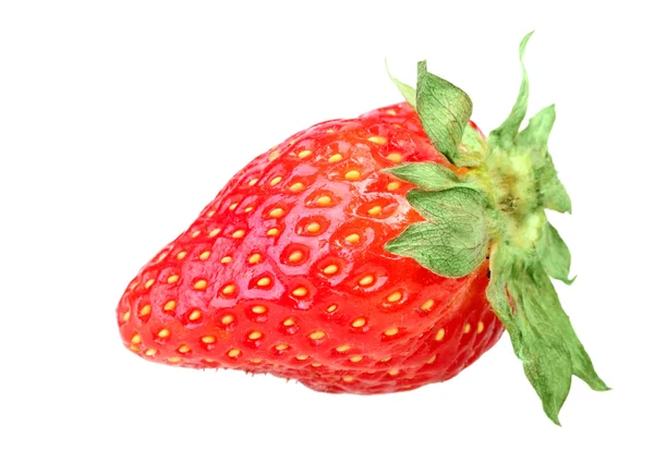 Одна красная ягода свежей клубники — стоковое фото