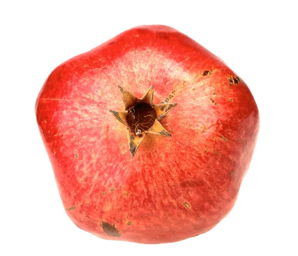 One fresh red pomegranate — Stock Photo, Image