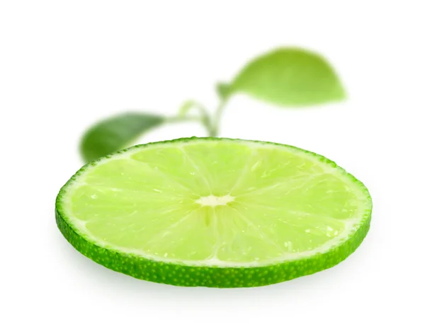 Slice of fresh lime — Stock Photo, Image