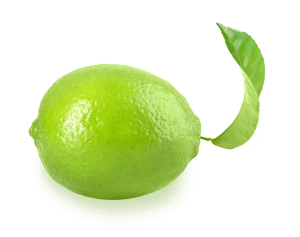 Fresh lime with one green leaf — Stock Photo, Image
