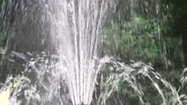 Фонтанные брызги воды на фоне природы — стоковое видео