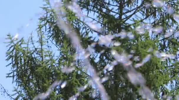 Фонтанные брызги воды на фоне деревьев и неба — стоковое видео
