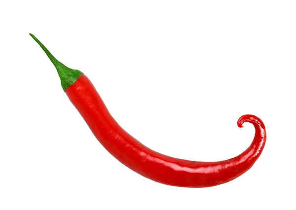 Single red fresh chilli-pepper — Stock Photo, Image