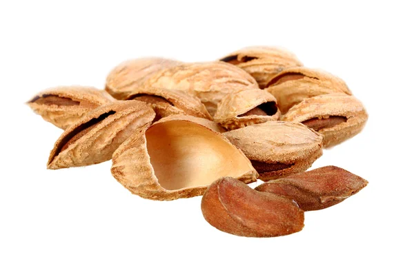 Högen av brun mandel nötter — Stockfoto