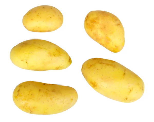 Verschillende gele ruwe potatos — Stockfoto