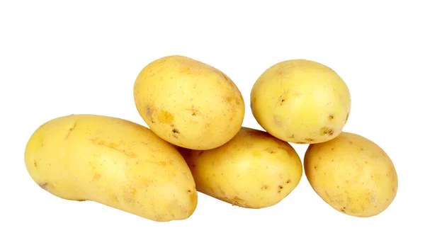 Hoop van gele ruwe potatos — Stockfoto