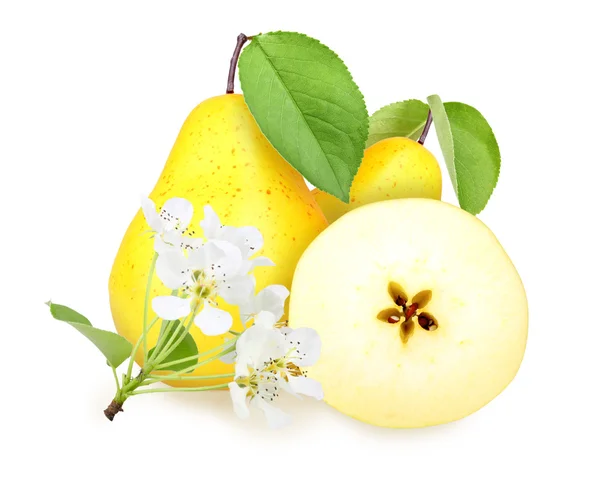Verse peren van de geel-oranje met groen blad — Stockfoto
