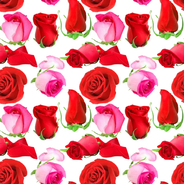 Нежный узор из цветов роз — стоковое фото