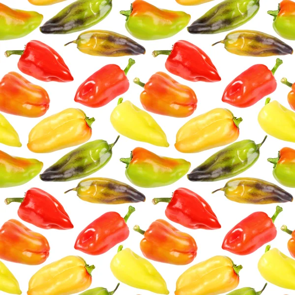 Seamless pattern of multicolored peppers — Stock Photo, Image