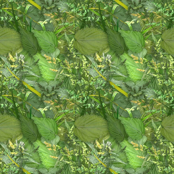 Безшовний фон камуфляжу з натуральним листям — стокове фото
