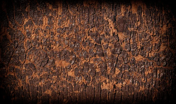Textura de madera vieja. —  Fotos de Stock