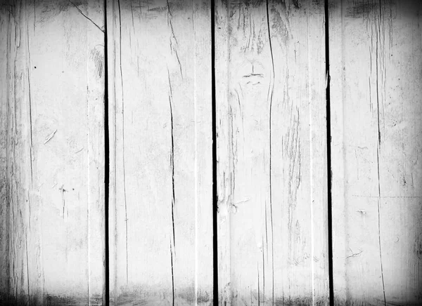 Zvětralé bílé dřevo — Stock fotografie