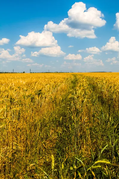 Bellissimo paesaggio — Foto Stock