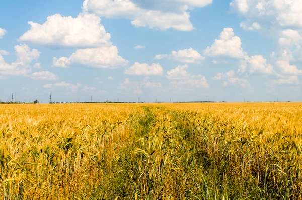 Schöne Landschaft — Stockfoto