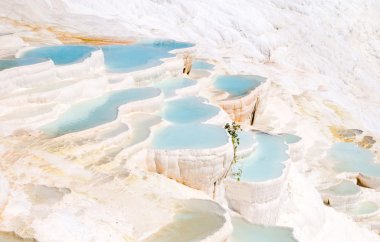 pamukkale turkuaz su Traverten havuzları