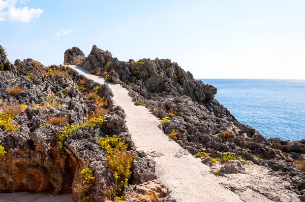 Bela paisagem marinha — Fotografia de Stock