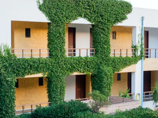 Hotel with green bushes on front walls