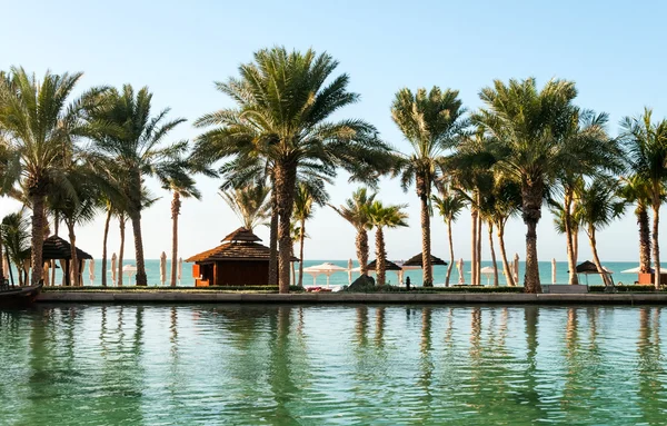 Strand mit Palmen in Dubai — Stockfoto