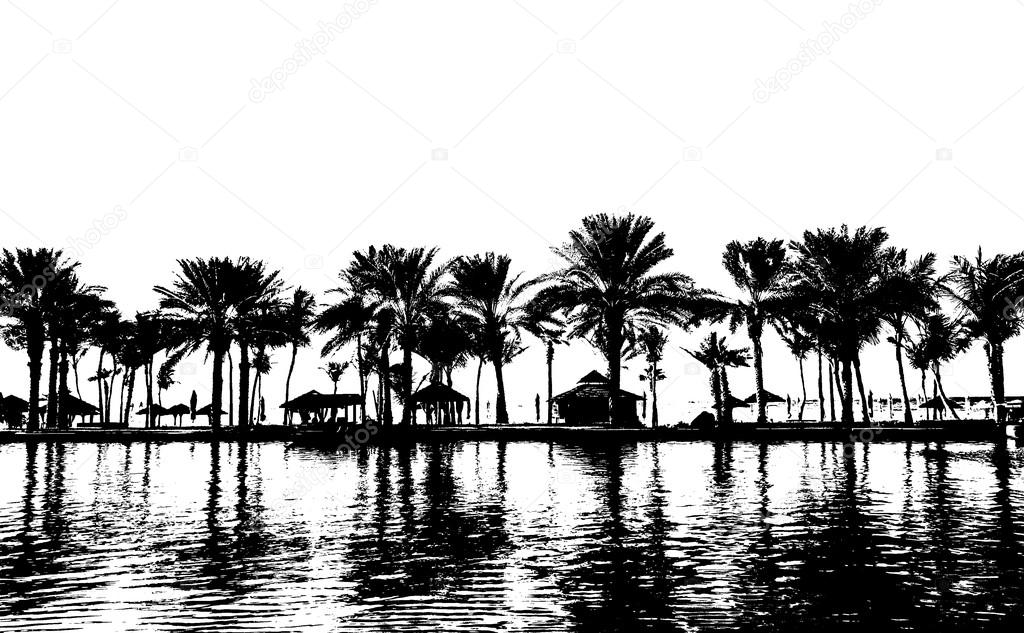 Silhouette of beach in Dubai.