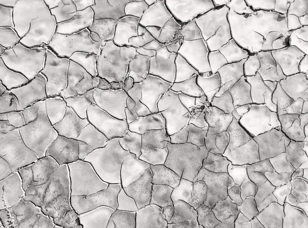 Texture de terre fissurée — Photo