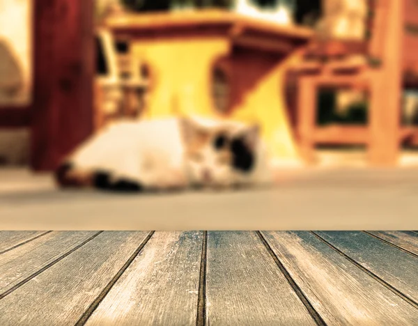 Cafe masa yakınındaki sokakta yalan kedi — Stok fotoğraf