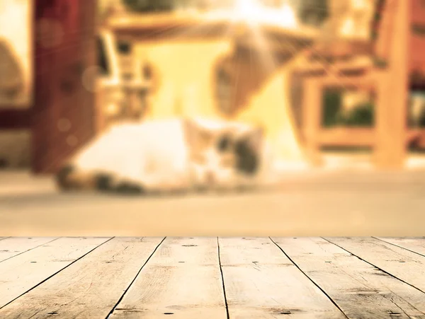 Cat lying in the street near cafe table — Stock Photo, Image