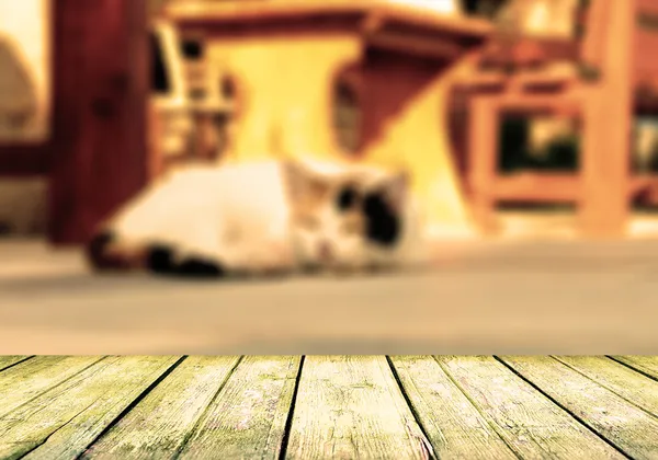 Gato acostado en la calle cerca de la mesa de café —  Fotos de Stock
