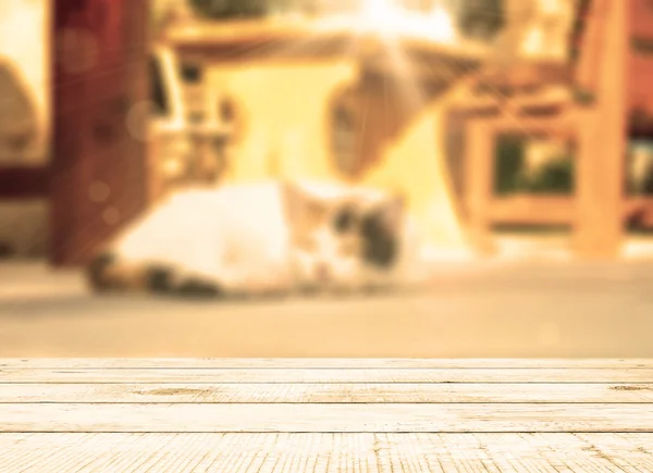 Gato deitado na rua perto da mesa de café — Fotografia de Stock