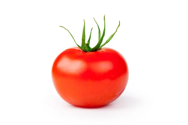 Tomate — Foto de Stock