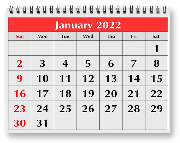Одна Страница Годового Месячного Календаря Январь 2022 Года — стоковое фото