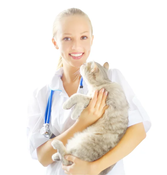Veterinarian with a scottish cat Stock Photo by ©AnmFoto 31773041