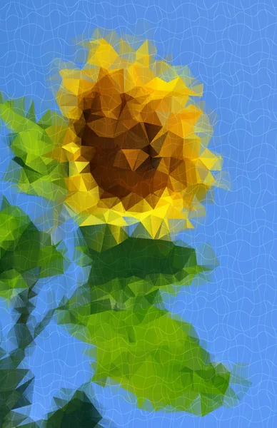 Słonecznik ozdobny tle kwiatów — Wektor stockowy
