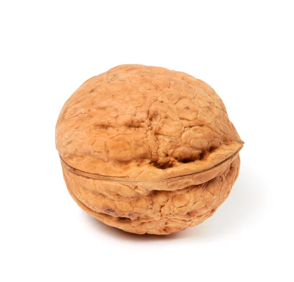 Walnut on white background. Close-up view. — Stock Photo, Image