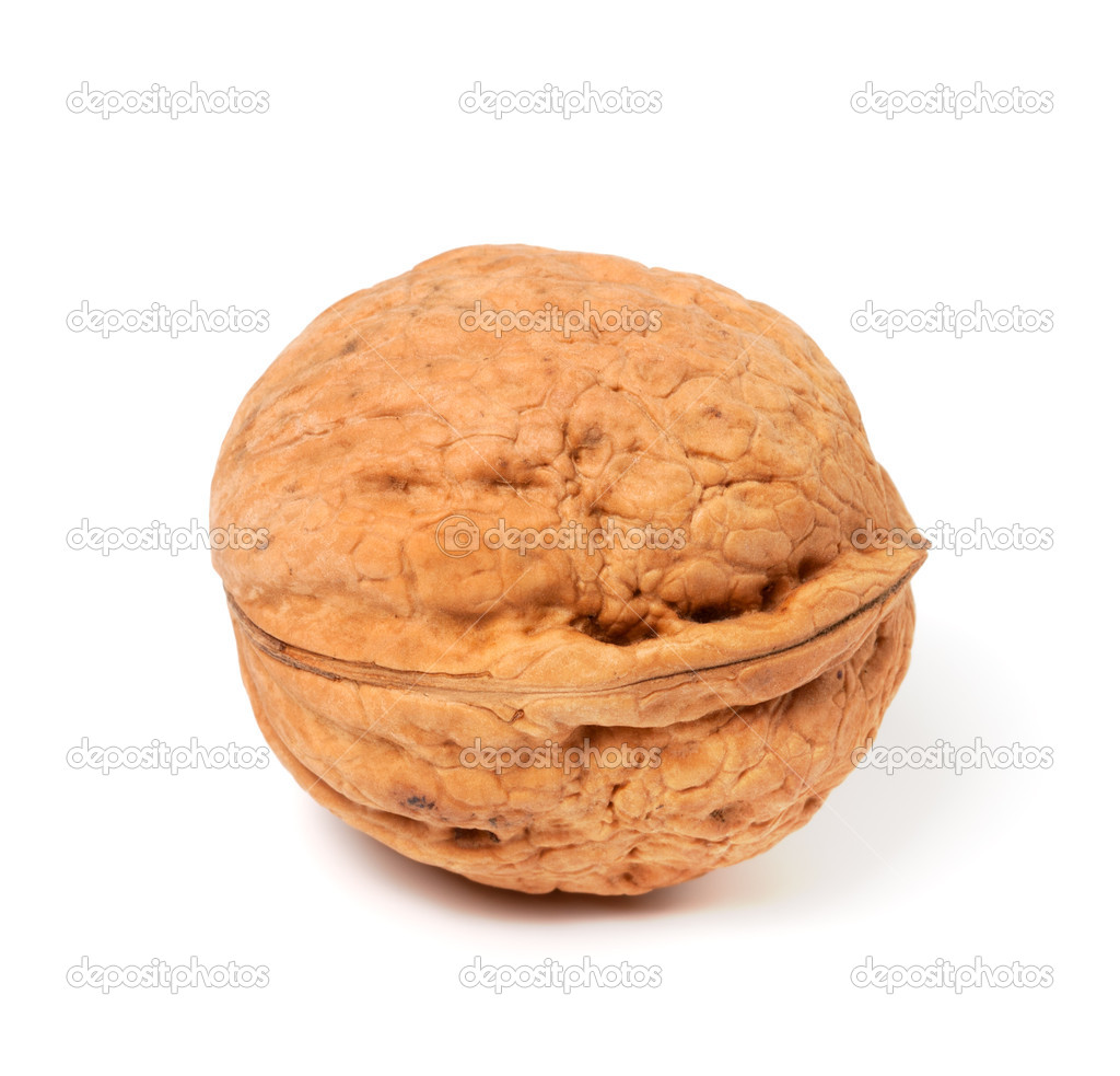 Walnut on white background. Close-up view.
