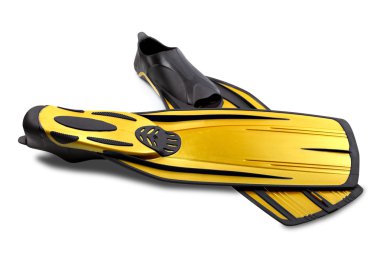 dalış için iki palet