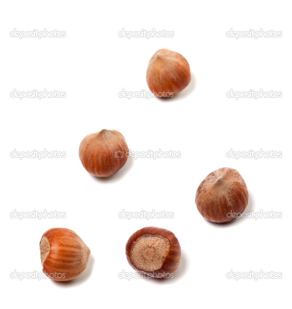 Brown hazelnuts on white