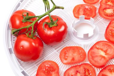 Gıda dehydrator tepsi üzerinde taze domates
