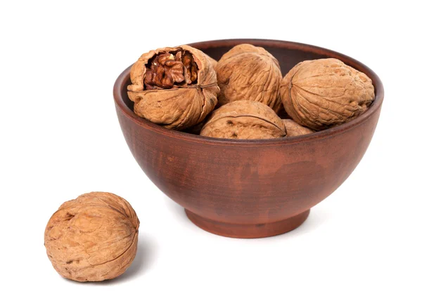 Walnuts in ceramic plate — Stock Photo, Image