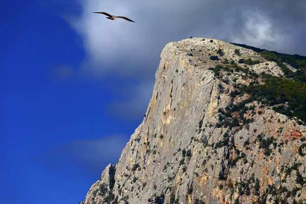 Летние скал и Чайка полет в голубое небо. — стоковое фото