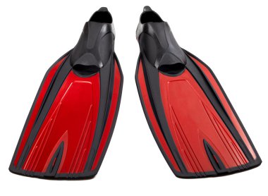 Beyaz arka plan üzerinde izole swimfin