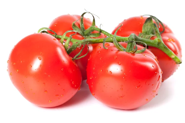 Bando de tomate maduro com água cai — Fotografia de Stock