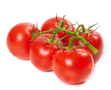 Ripe tomato on bunch with water drops clipart