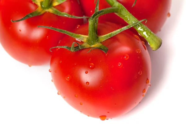 Tomate maduro con gotas de agua. vista cercana. — Foto de Stock