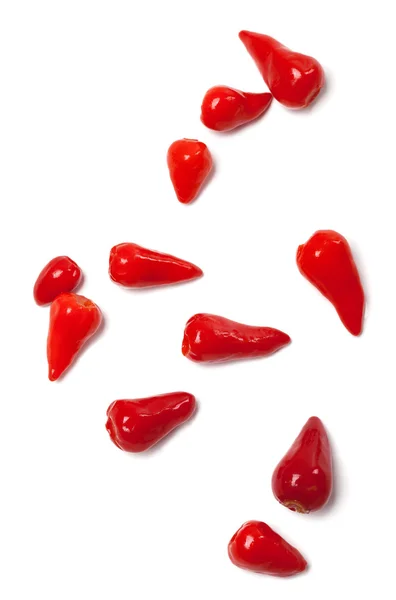 Piri-piri hot peppers — стоковое фото