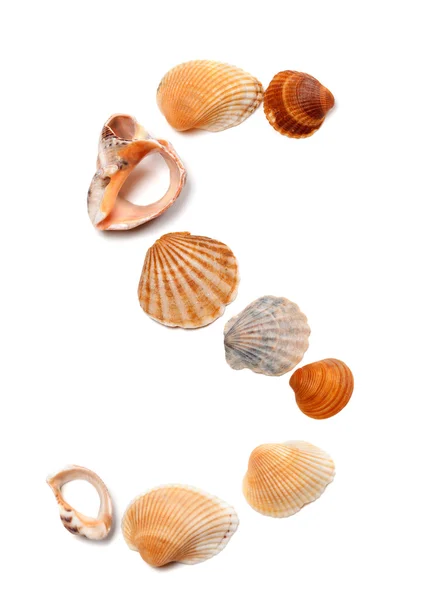 Letter S composed of seashells — Stock Photo, Image