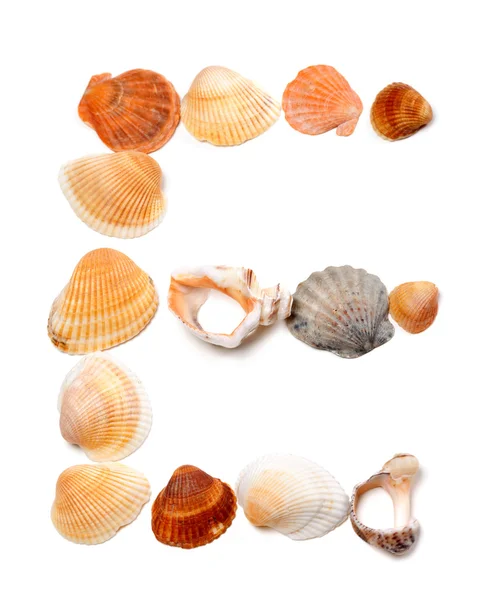 Letter E composed of seashells — Stock Photo, Image