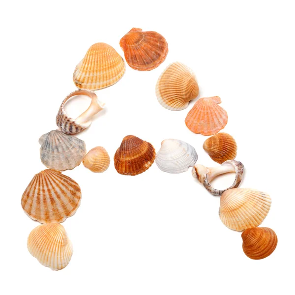 Letter A composed of seashells Royalty Free Stock Images