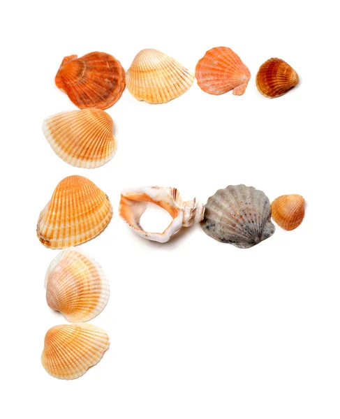 Letter F composed of seashells — Stock Photo, Image